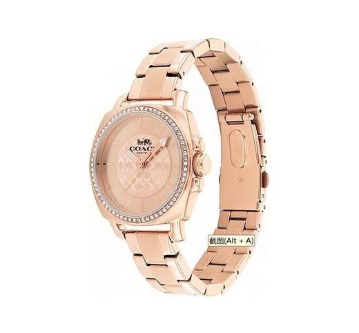 【中检鉴定】【专柜版】COACH蔻驰 Coach蔻驰 女士时尚个性手表 商品图0