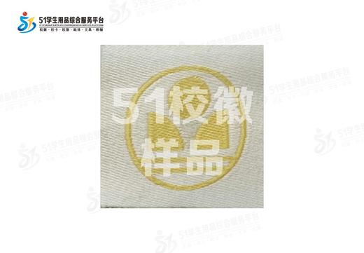 通版深圳市深圳中学科技高中校徽布标姓名贴章可缝可烫现货现发51 商品图2