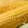 生态水果玉米（承德） | 合作生产*Ecological fruit corn | Partner Production 商品缩略图1