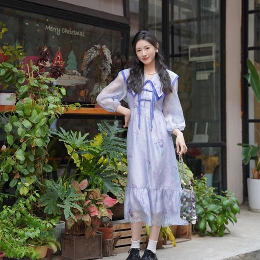 两三事梦中鸢尾春夏学院蓝色国风日常温柔连衣裙开春温柔风穿搭 商品图2
