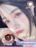 SunYior秀儿小山茶约14.0mm【年抛】 商品缩略图0