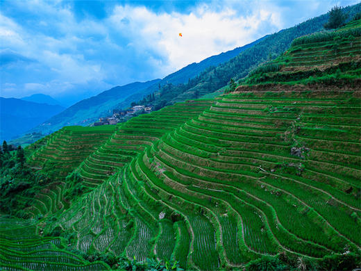 五一4日【桂林山水】桂林山水甲天下-漓江山水-阳朔西街-遇龙河-十里画廊-龙脊梯田 商品图7