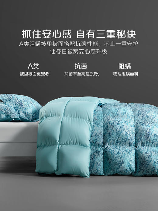 百丽丝家纺出品奥尔莱特抗菌鹅绒冬厚被 商品图2