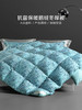 百丽丝家纺出品奥尔莱特抗菌鹅绒冬厚被 商品缩略图0