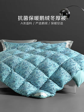 百丽丝家纺出品奥尔莱特抗菌鹅绒冬厚被