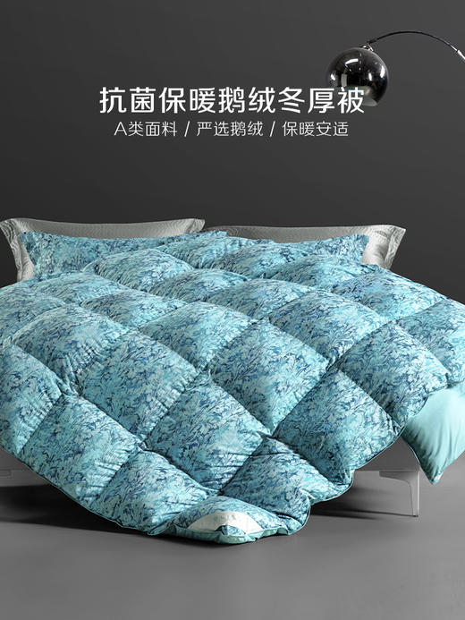 百丽丝家纺出品奥尔莱特抗菌鹅绒冬厚被 商品图0