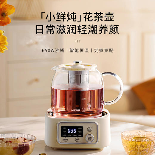 【NERF拉尔弗电器】多功能煮茶器BC-H10X 商品图1