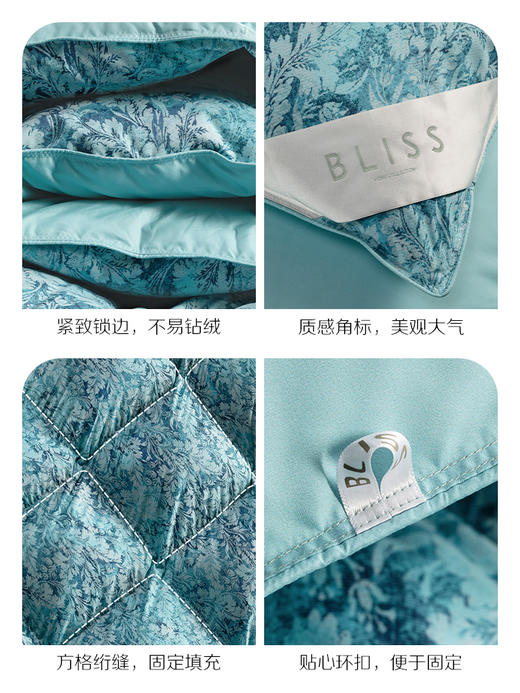 百丽丝家纺出品奥尔莱特抗菌鹅绒冬厚被 商品图4