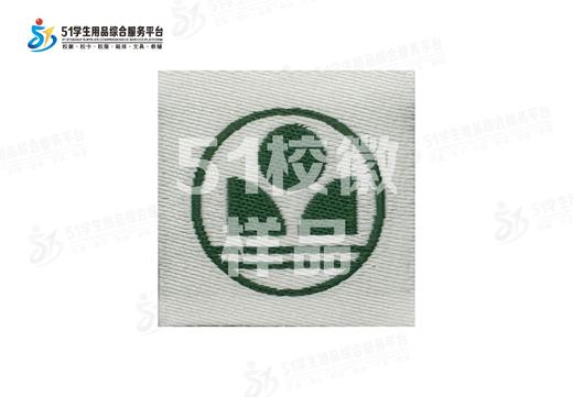 通版深圳市深圳中学科技高中校徽布标姓名贴章可缝可烫现货现发51 商品图4