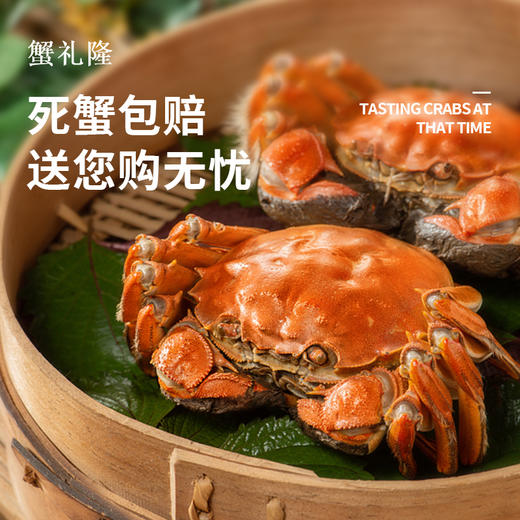 <有书独家>蟹礼隆-金秋大闸蟹  蟹礼隆中秋之礼推荐 商品图2