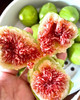 威海青皮无花果，无花果里的王者，长在树上的糖包子，一斤/份 商品缩略图0