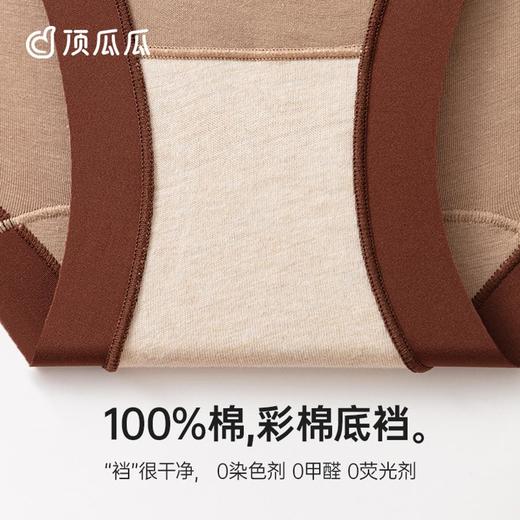 3部顶瓜瓜棉莫静奢彩棉女士高腰内裤3条装DNKWC-AQ33161-3 商品图3