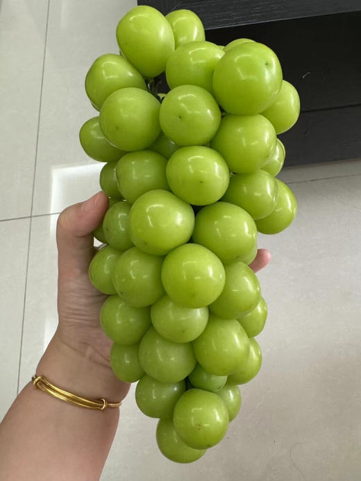 ✈️顺丰包邮到家来自于大连国营农场的核心产区，独有兰花香味 阳光玫瑰，现摘现发 全国顺丰到家礼盒包装 无损包装 商品图1