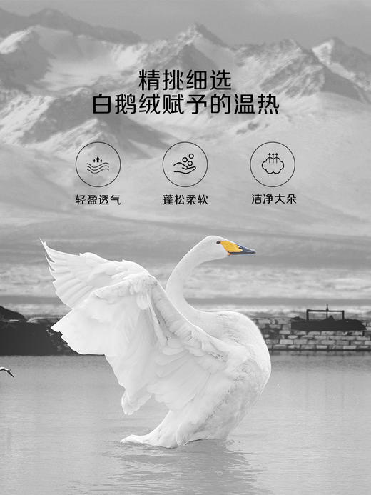 百丽丝家纺出品奥尔莱特抗菌鹅绒冬厚被 商品图1