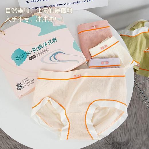 爆款呵护裤8条装无缝透气防螨净化内裤裤润肤吸臀女士三角裤 商品图1