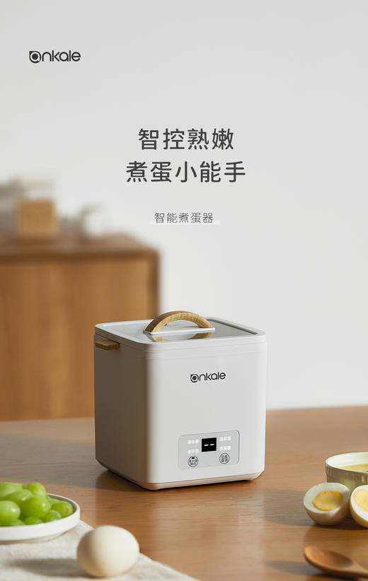 ankale 安壳蒸蛋器ZD10 商品图0