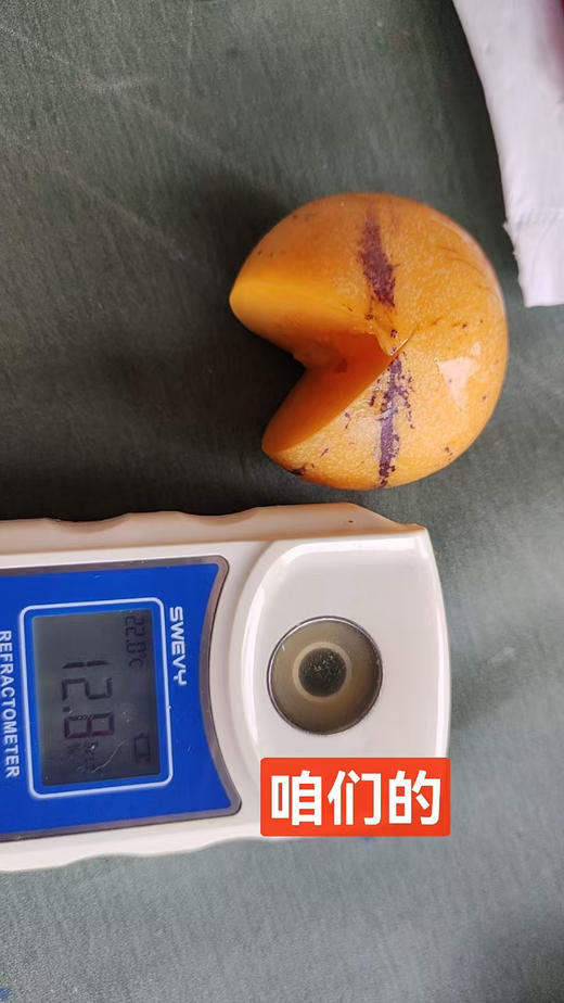 周二配送至小区门口自提！树熟人参果，低糖高钙高硒的水果，入口即化的果肉全是汁水，有润燥，清热，去火的作用，是孕妇，糖尿病者，中老年人最佳水果！可以美容瘦身预防高血压！约2斤/份 商品图1