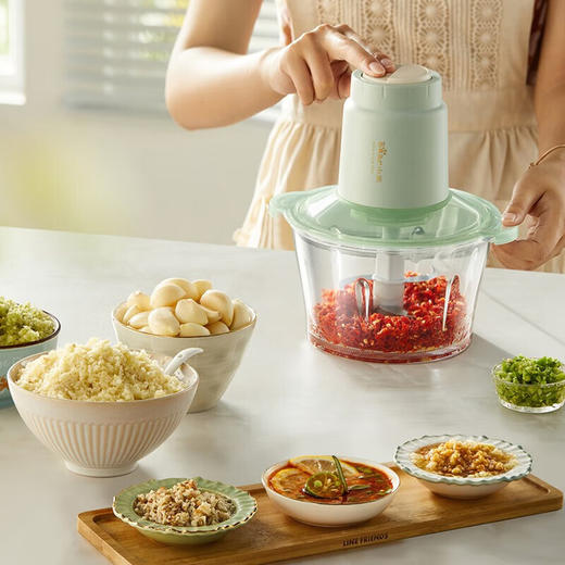 小熊（Bear）绞肉机家用大容量2L绞馅机 碎肉机 电动多功能料理搅拌打肉饺子肉馅蒜蓉机QSJ-E03K6 商品图5