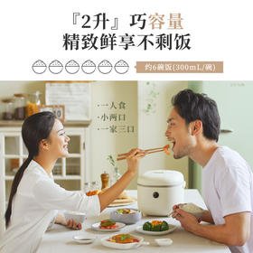 小熊（Bear）电饭煲小 2升迷你小容量智能预约小米粥保温1-2人小型多功能柴火元釜内胆2-3人电饭锅2L DFB-B20A1
