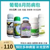 葡萄八月防病包  玛琳辛+艳苗+美妞+溴菌腈+沃美  一套兑水10喷雾器或400斤 商品缩略图0