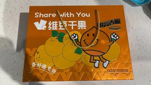 大全山杏脯盒175克*5袋山西特产 商品图0