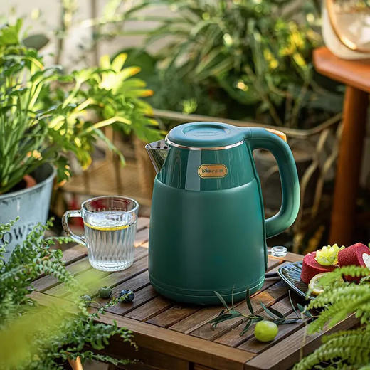 小熊烧水壶电水壶电热水壶开水壶1.5L大容量 ZDH-Q15E1 1.5L 小熊（Bear） 商品图4