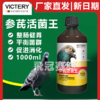 汉诺威【参芪活菌王】1000ml调理肠道鸽子拉稀水便止痢 商品缩略图0