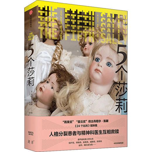 5个莎莉 （美）丹尼尔·凯斯 著 商品图0