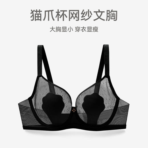 芬腾大胸显小内衣女夏季超薄透气性感蕾丝上托防下垂软钢圈文胸罩 商品图1