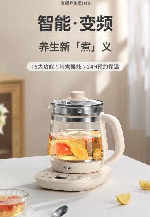 小浣熊(13504)H18养生壶 商品图0