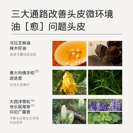 【夏徽-头皮净澈预洗油】洗前护理 调养头皮 平衡头皮微环境 商品图4