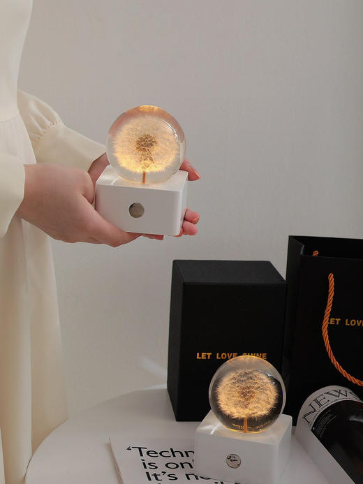 天然蒲公英永生花 商品图2