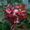 红色系开业篮（帝王款）——开业花篮高端乔迁庆典商务用花|北京5环内免费送花上门 商品缩略图0