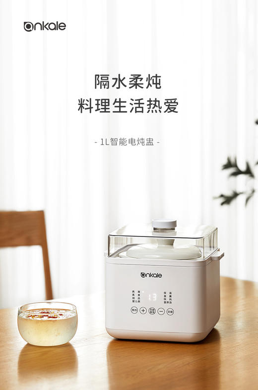 ankale 安壳电炖盅10D01 商品图0