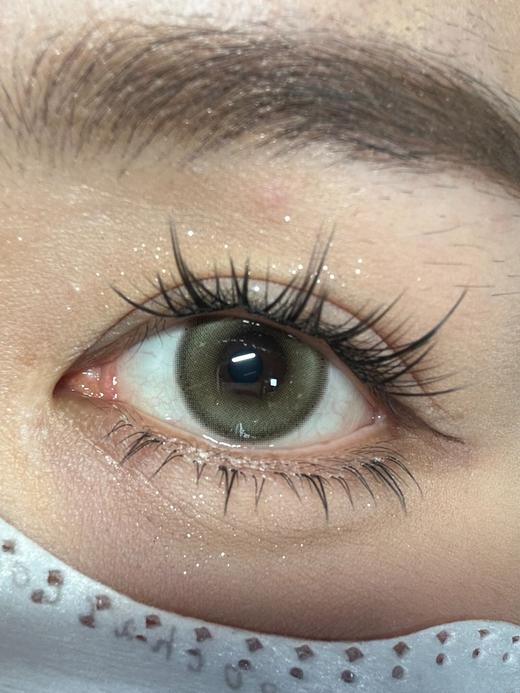 Skeye旗下 ·豆沙牛乳&宇治抹茶｜ 14.2mm白狮参考着色待测  半年抛 商品图8