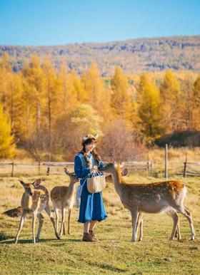 【秋季定金】金秋呼伦贝尔游 7天6晚深度纯玩 专拍链接
