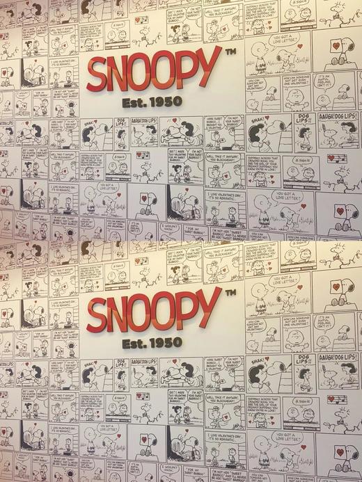 Snoopy史努比品牌书包 商品图2