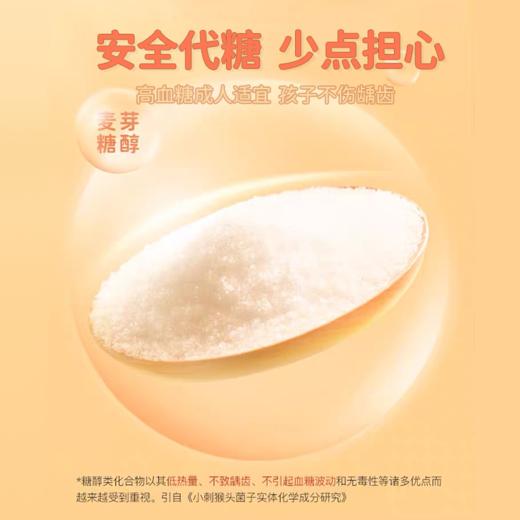 【店选】山楂裨味膏 12g*15条/盒 商品图2