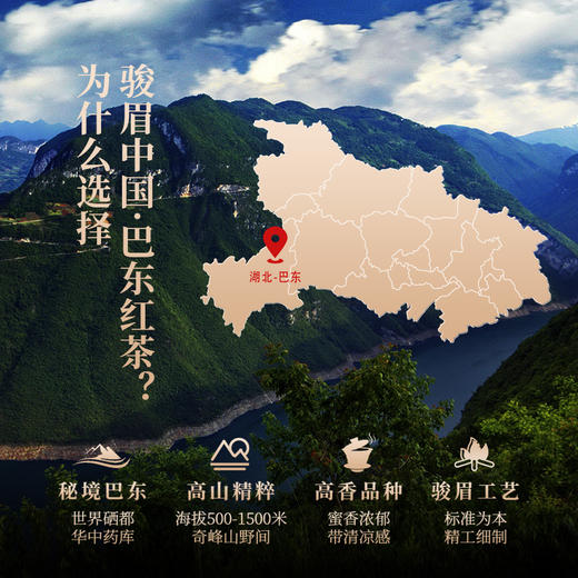 正山堂 巴东红 骏眉中国产区茶系列 湖北特级红茶茶叶罐装50g 商品图2