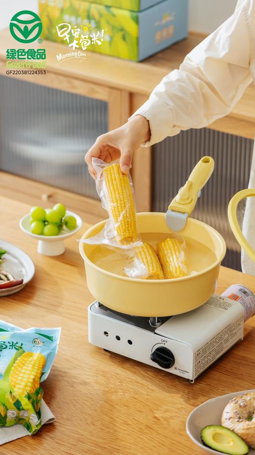 早安大苞米 真空鲜食玉米 商品图7