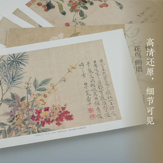 湖山画谱 (山水湖山画谱/花鸟湖山画谱/湖山画谱套装) 商品图1