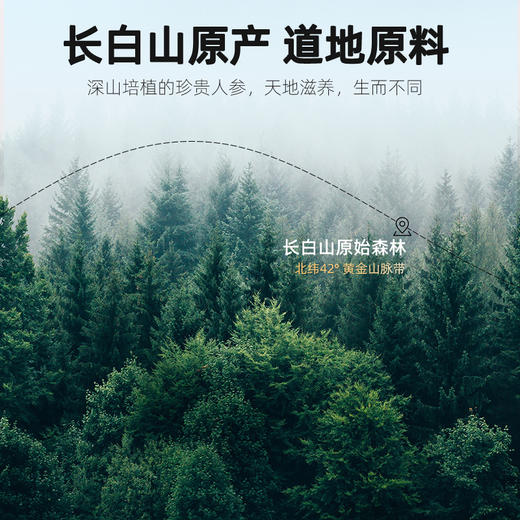 【杞里香250g圆罐严选0.8-1.0西洋参】5年足龄长白山西洋参片 商品图2