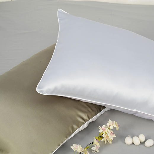 钱皇·桑蚕丝 AB面19姆米重磅真丝枕套 | 柔滑似水 清爽透气 亲肤护发 商品图5