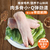 【3份包邮】安心猪蹄粮食喂养  急冻锁鲜  满口肉香  整只带筋前蹄 400g 商品缩略图0