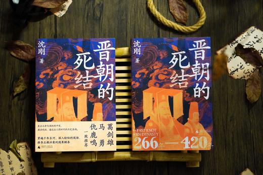 晋朝的死结  沈刚 /著 商品图5