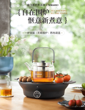 摩飞电器（13558）围炉煮茶器 电陶炉配玻璃茶壶+烧烤网煮茶壶烹茶烧水煮茶一体机 MR6083 【年度旗舰】花式围炉 0.65L