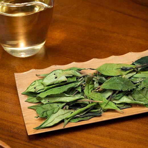 福鼎白茶知青荒野茶园2023年高山老枞寿眉 100克 商品图1