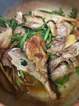 猫太推荐---姜母鸭🌟，养生翻倍，抓住养生时机