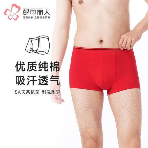 都市丽人都市锋尚内裤简约基础平角裤40S棉拉架男士内裤FKTCD5 商品图0