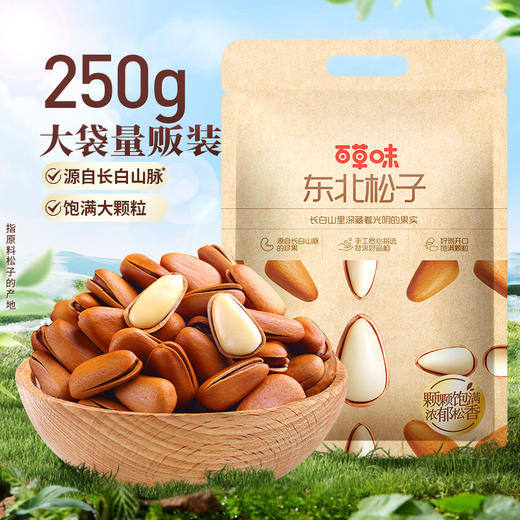 东北松子500g/400g/250g（1150等级） 商品图6